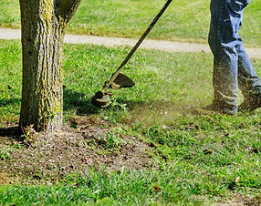 land maintenance2.jpg