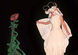 Mariposa