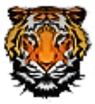 TC Tiger Logo No Background (1)_edited.png