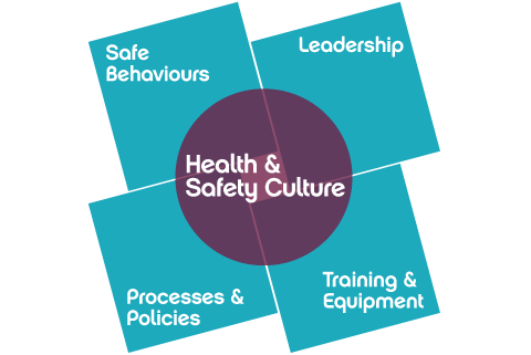 Health and Safety Culture