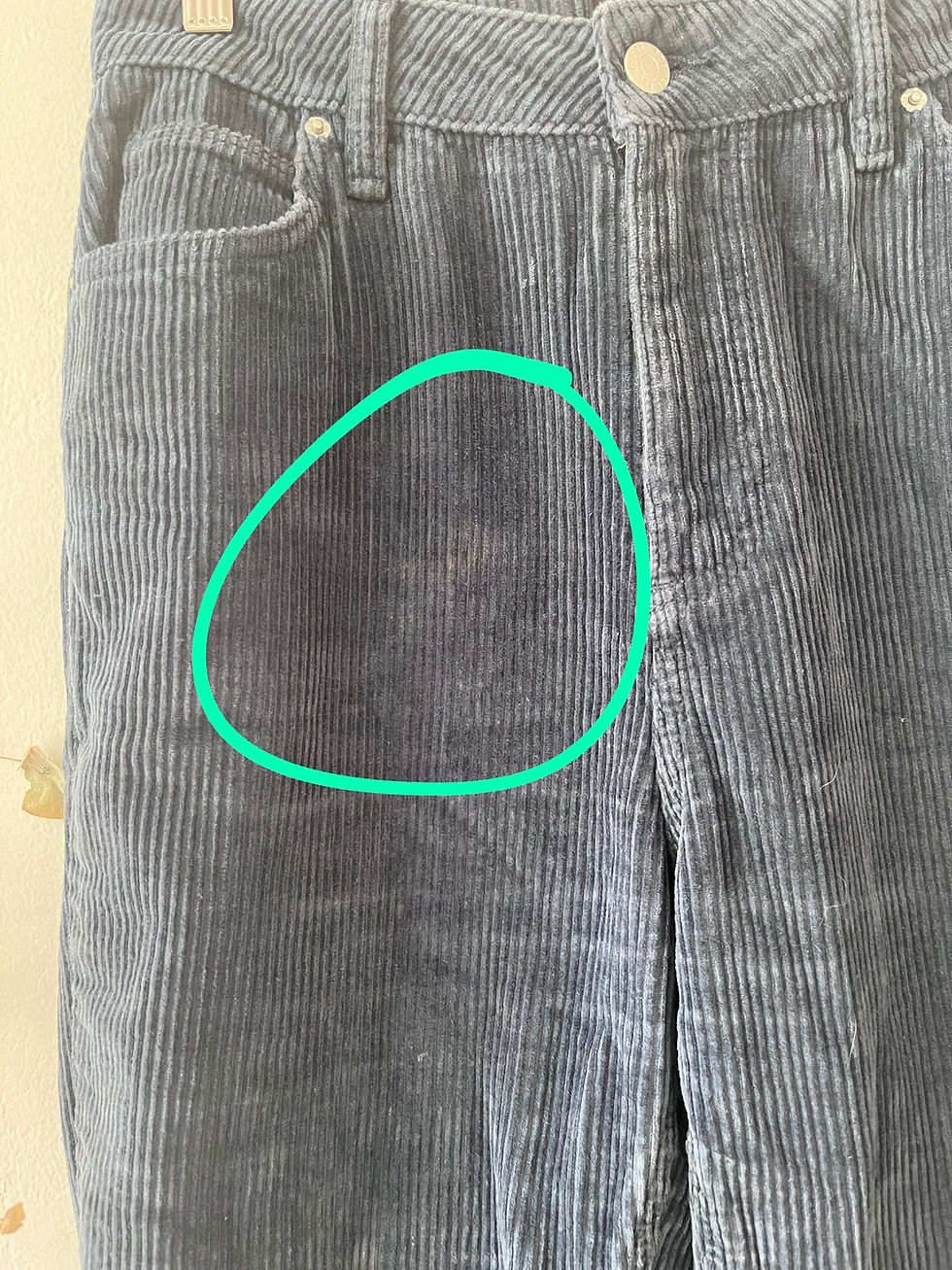 תמונה ממוזערת: מכנסיים BDG