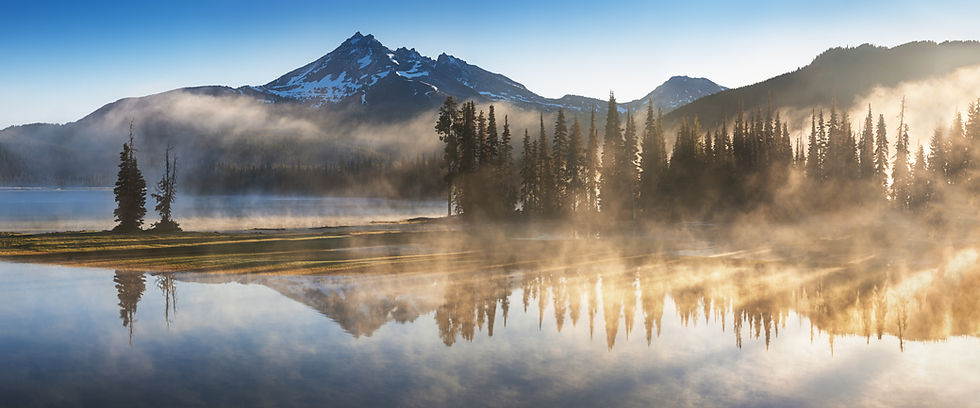 AdobeStock_249646572.jpeg