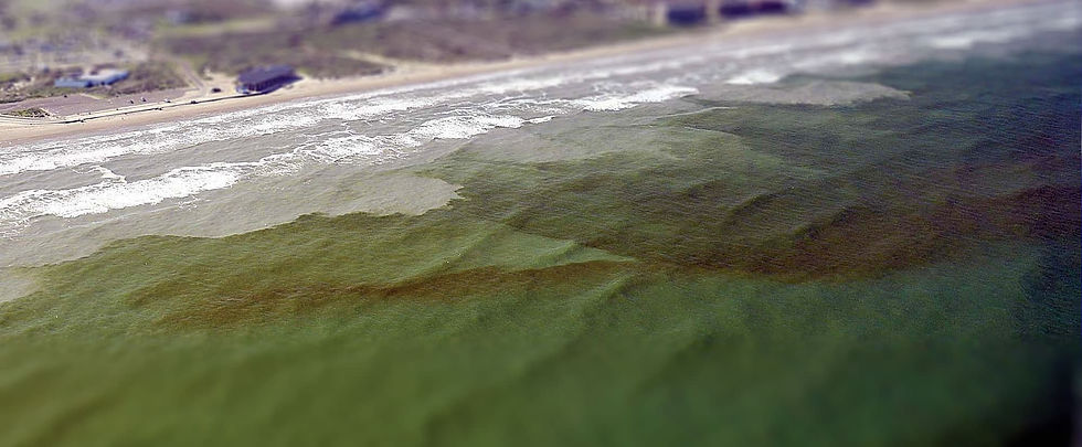 redtide-top.jpg