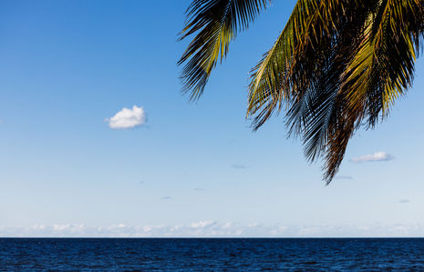 Santa Clara-Yucatan-Trail-CARF-01