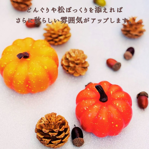 秋の収穫 落ち葉アートフォトセット｜赤ちゃんと作る秋の思い出