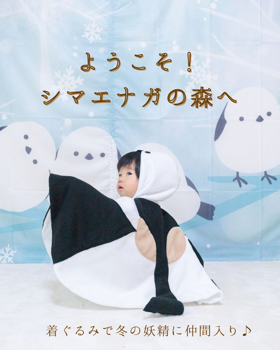 ようこそ！ シマエナガの森へ　かわいい着ぐるみで冬の妖精になろう♪