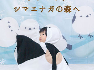 「ようこそ！ シマエナガの森へ」おうちフォトキットご紹介