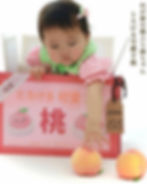 わが家の箱入り娘ちゃん(とろける可愛さ桃)