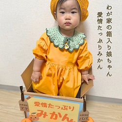 わが家の箱入り娘ちゃん(愛情たっぷりみかん）