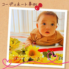 ひまわりベビーフォトセット