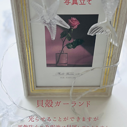 マーメイドプリンセス　おうちフォトレンタル