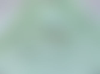 「♡プリンセス・グリーンドレス」おうちフォトキットご紹介