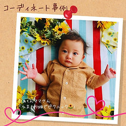 ひまわりベビーフォトセット