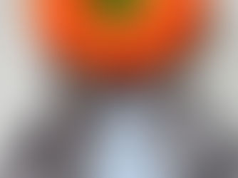 「初めての秋」おうちフォトキットご紹介