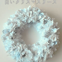 ホワイトノエル