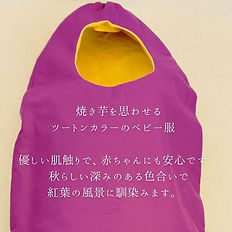 秋の収穫 落ち葉アートフォトセット おうちフォトキット