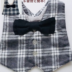 ベビー・ジェントルマン【輝く成長記録！】手軽に始めるおうち月齢フォト