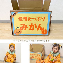 わが家の箱入り娘ちゃん(いちごとみかんのおそろいセット）