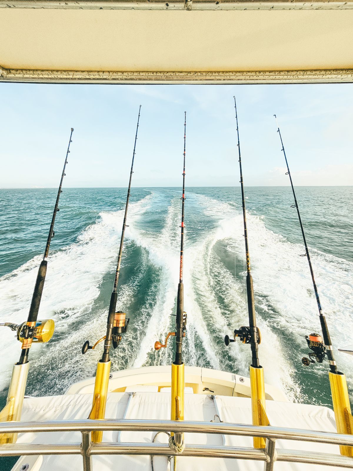 Fishing rods trolling off the sport fisher
