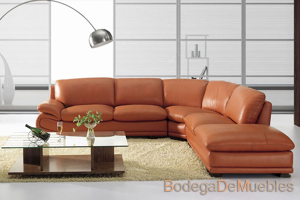 Sala 3 pzas en piel.