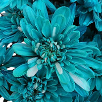 Cushion-Teal-Blue-Close-350_a4074df7.jpg