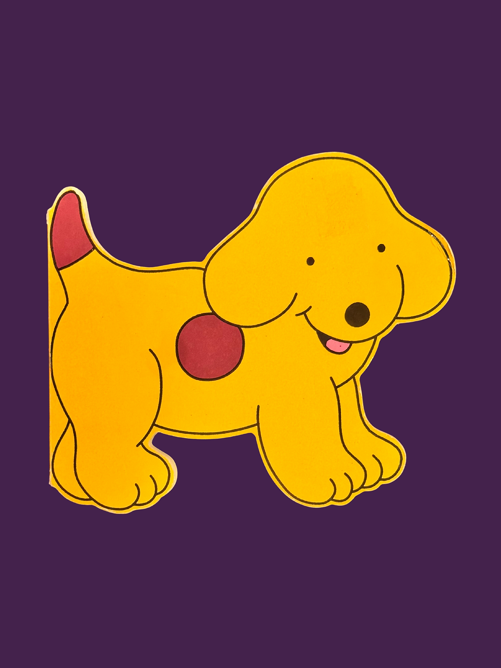 All About Spot_B725-6