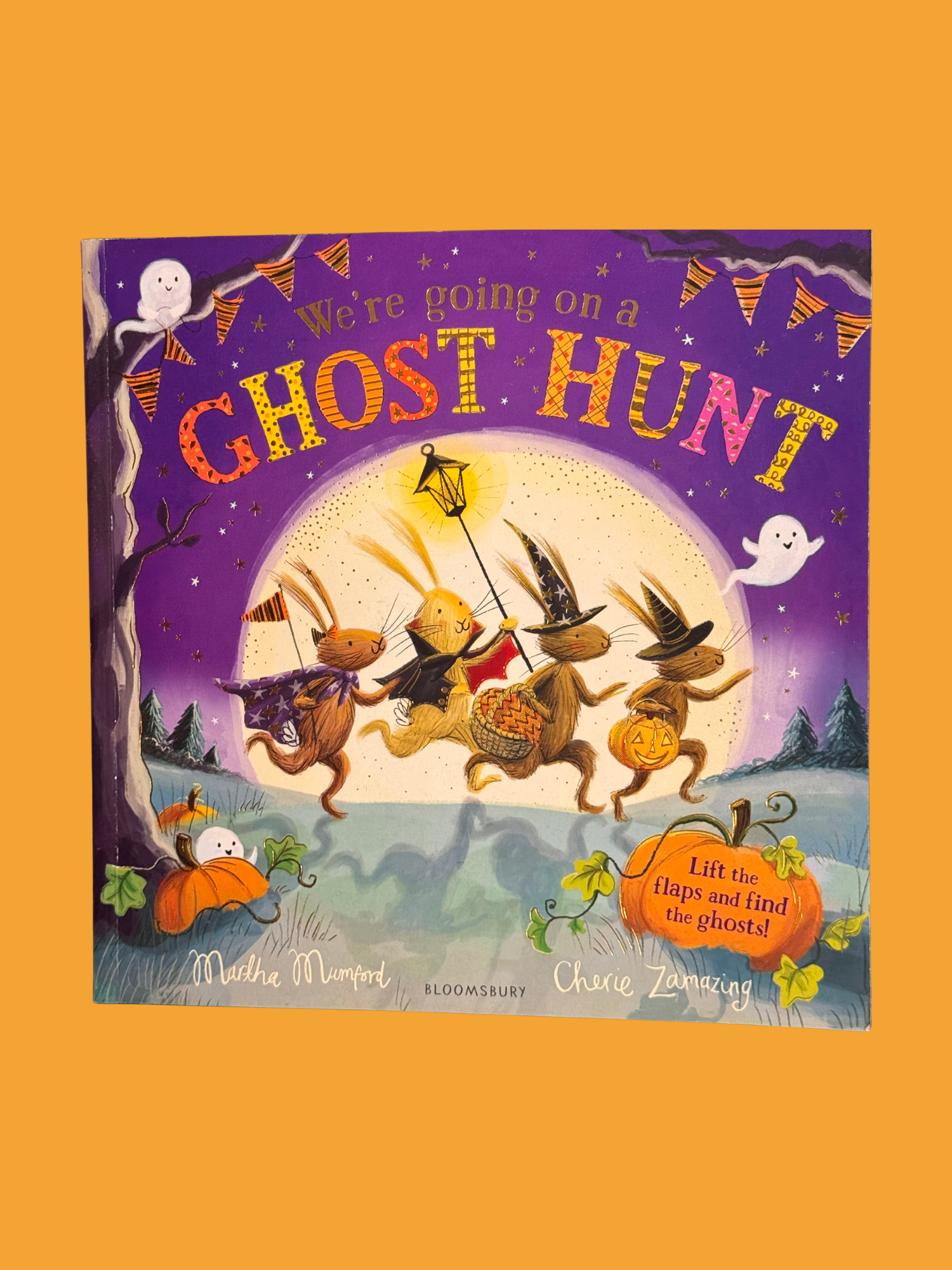 We’re going on a Ghost Hunt_Flap Book_B925-154