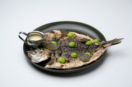 Professional food photography showcasing a beautifully plated gourmet dish with natural lighting and styled presentation, captured by a Toronto food photographer