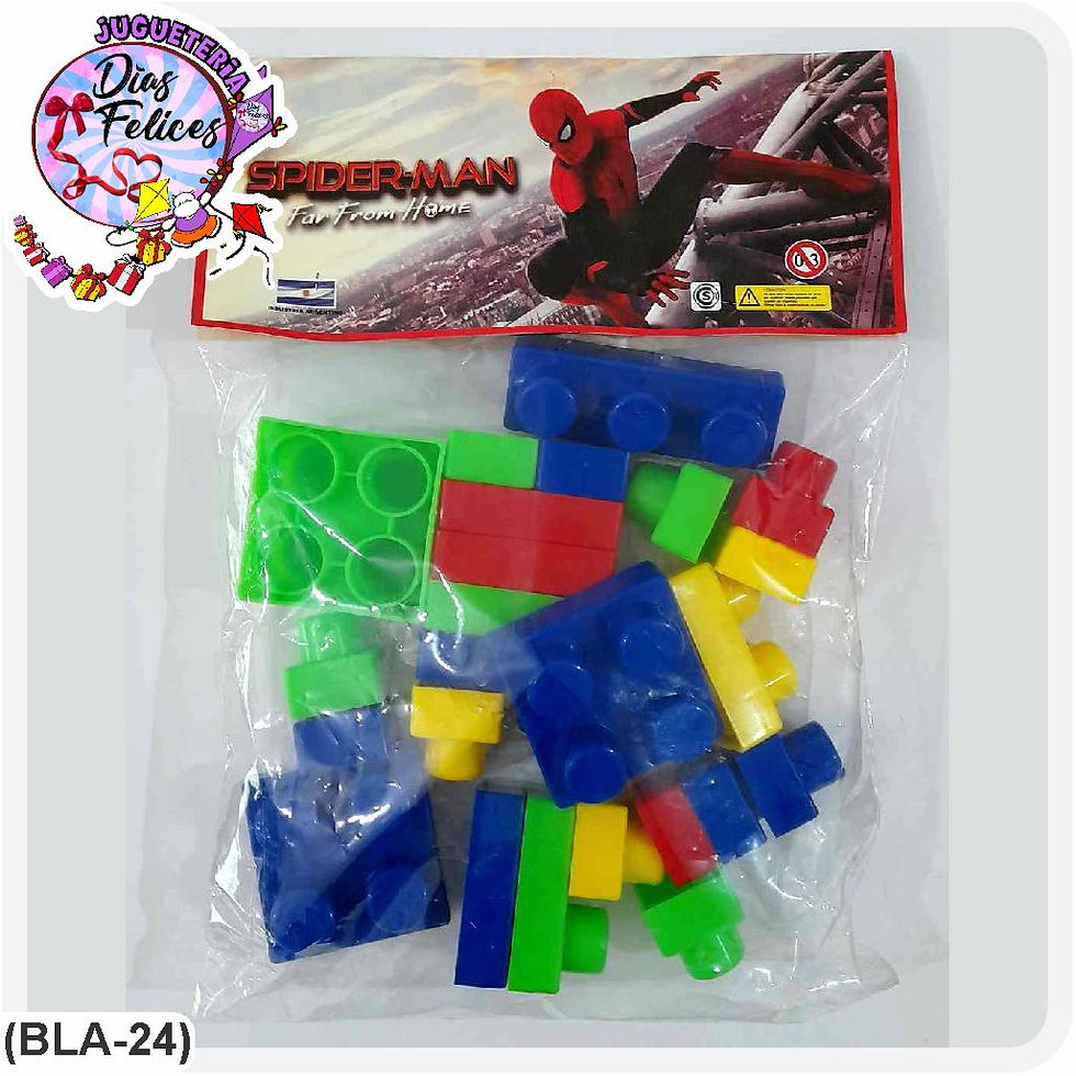 (BLA-24) bLOQUES DE 24 PIEZAS - Dias Felices Juguetes - Tienda online - En Dias Felices to.jpg