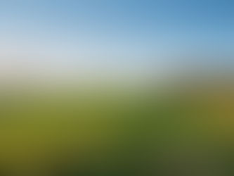 you too, can play open championship courses