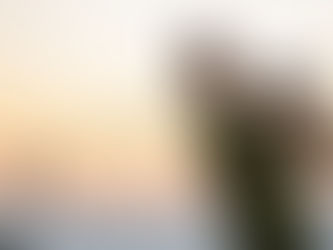 Hunger Yet Calm: Leader Identity Shift