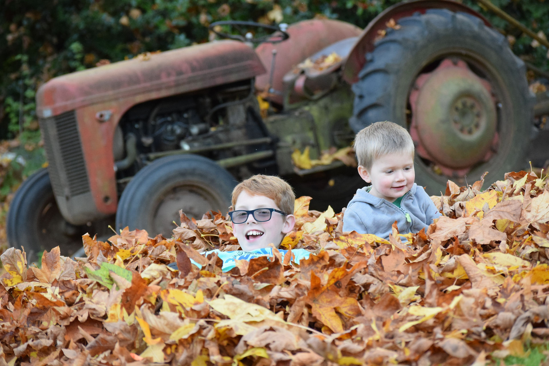 Farm kids having some fall fin in the piles of colorful leaves