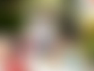 With Summer comes humidity… What is going on under my house?