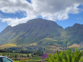 I’m Back— South Africa inspired!