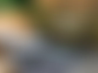 It’s finally beginning to feel like outdoor weather!