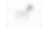NSA LOGO MEMBER white.png