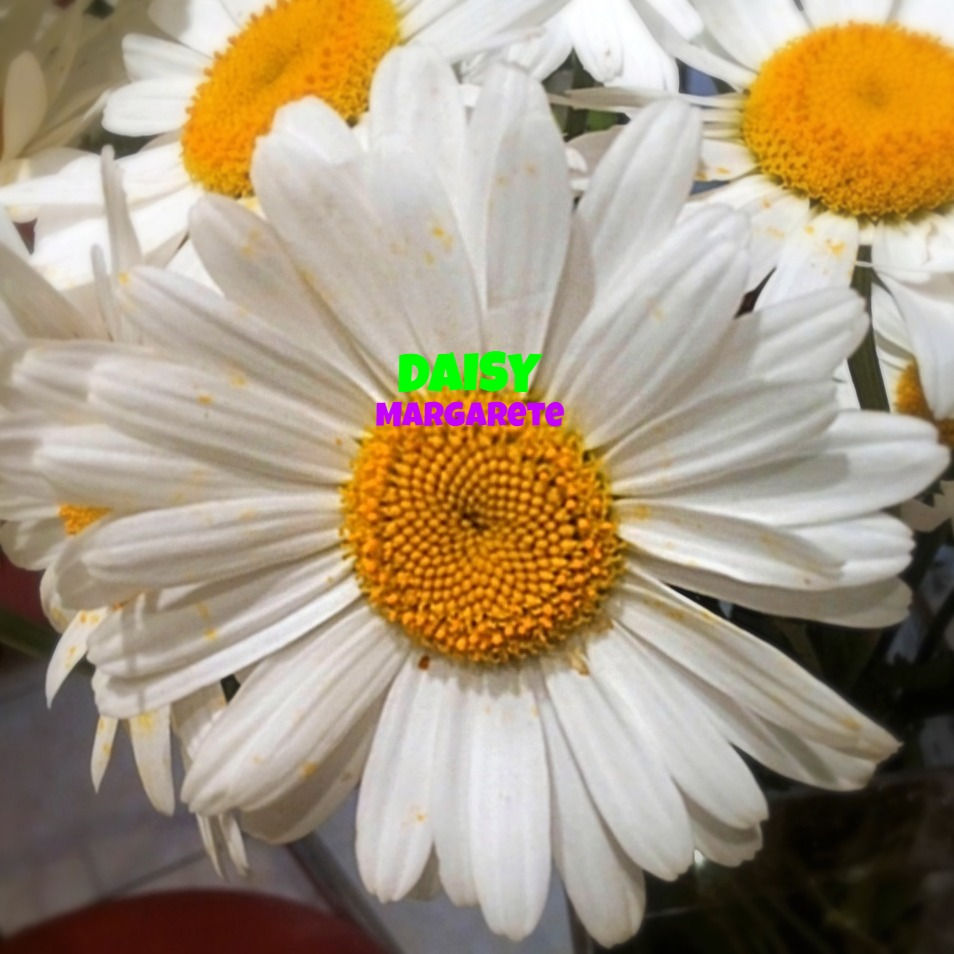 DASY