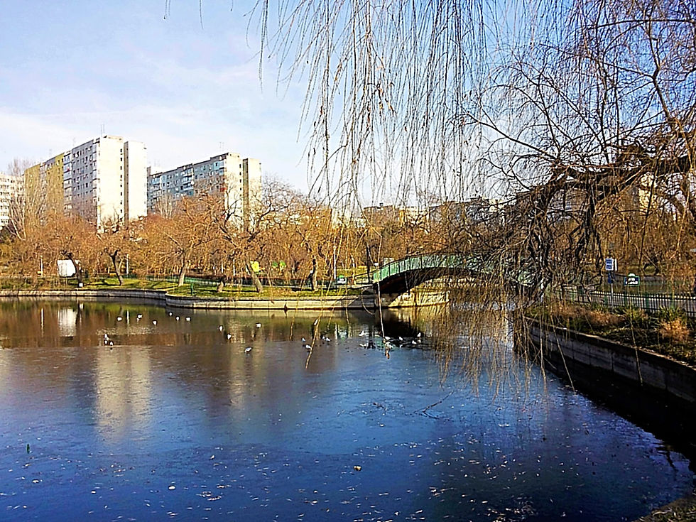 2014-01, ROMANIA_Bucuresti [ParcMorarilo