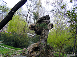 2010-04, ParcCismigiu