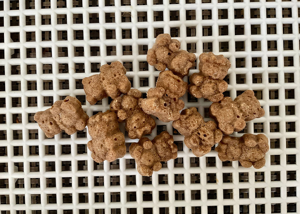 Tuukka’s Teddy Cookies