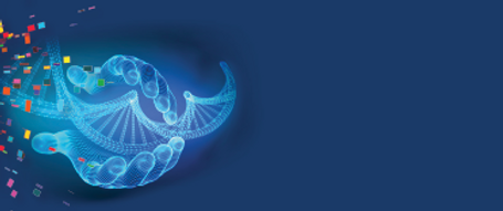 banner no text.png