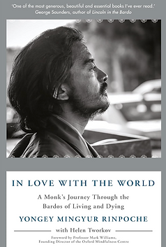 book cover of in love with the world