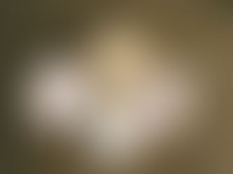 Top 10 Medicare Questions Answered