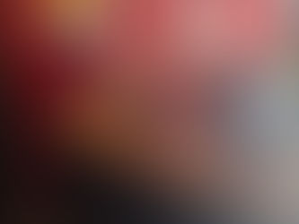 Food drive donations laid out on counter