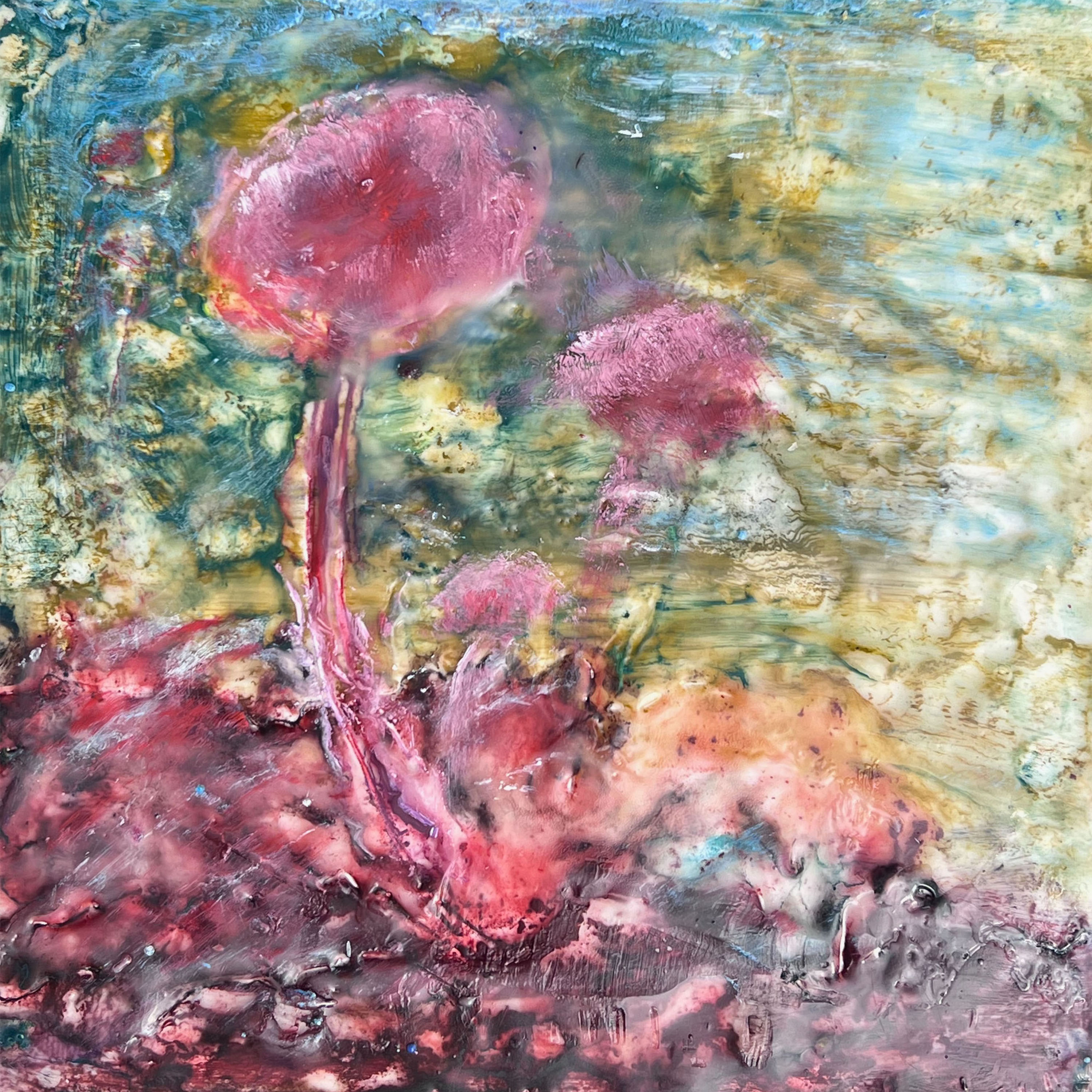 The Colours of Fungi 7 - Susan Hey