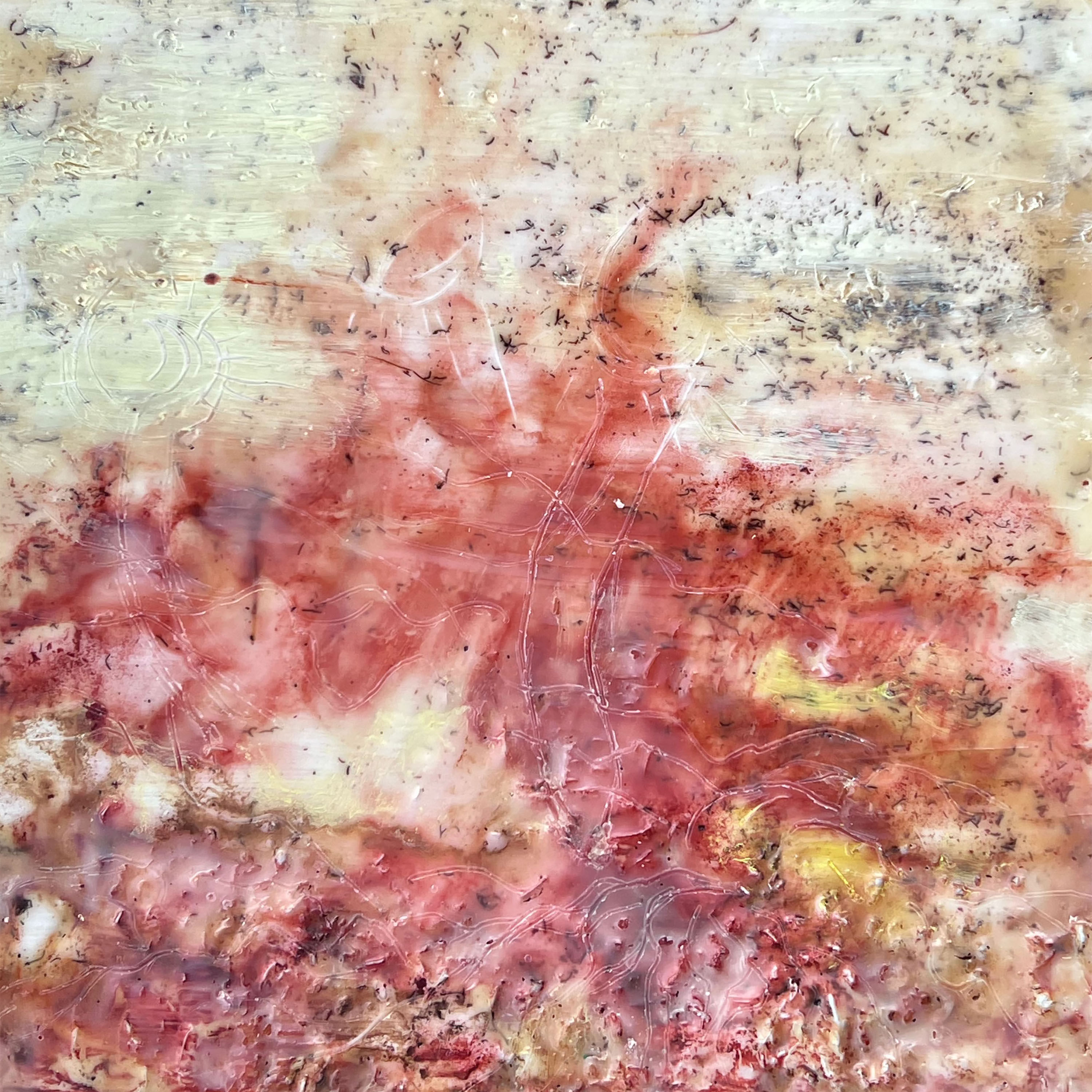 The Colours of Fungi 10 - Susan Hey