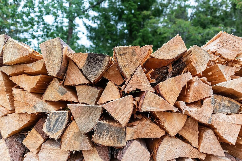 best-firewood-to-burn-andreas-pajuvirta-unsplash_000834c6-c226-452c-8c94-08a74bf42119.jpg