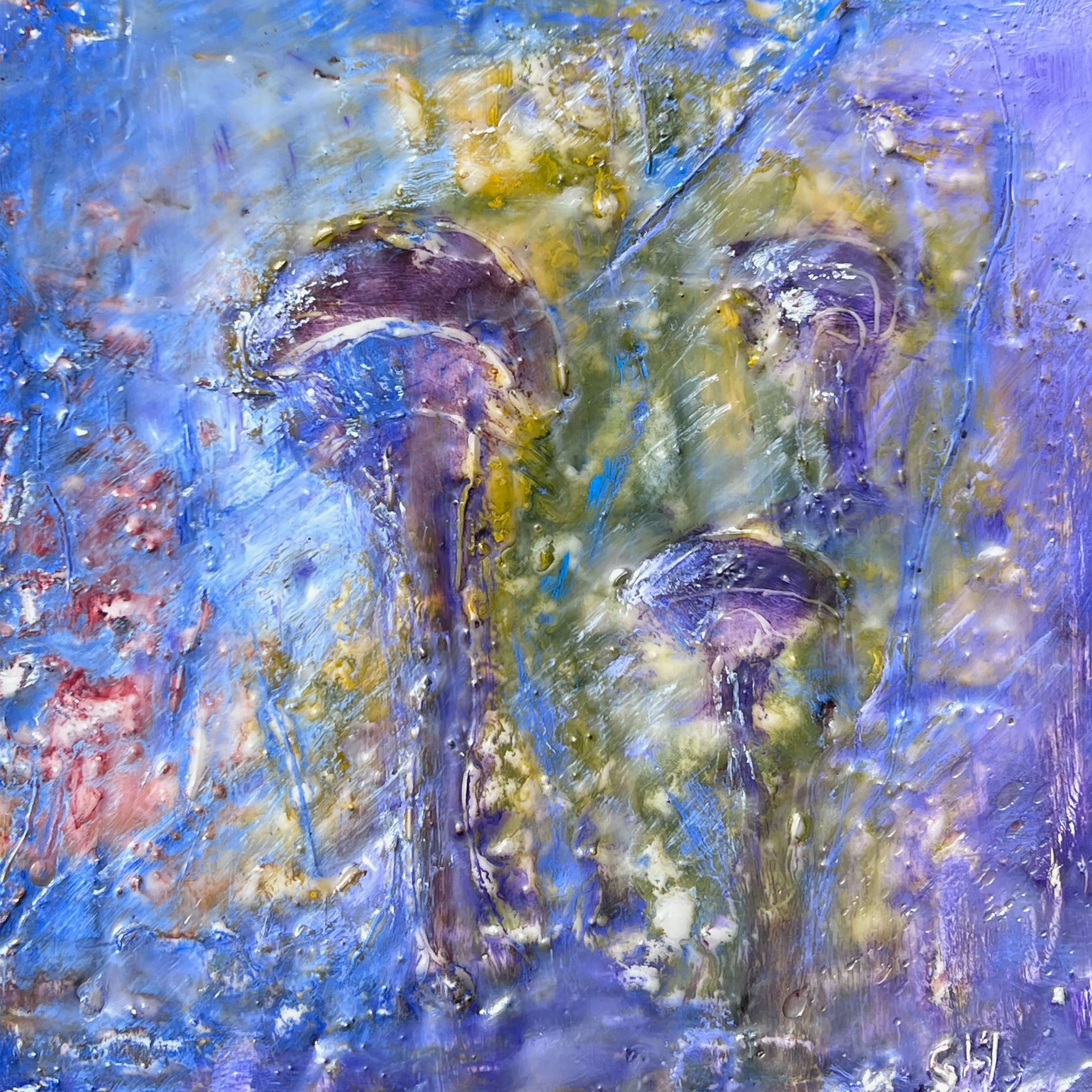 The Colours of Fungi 5 - Susan Hey
