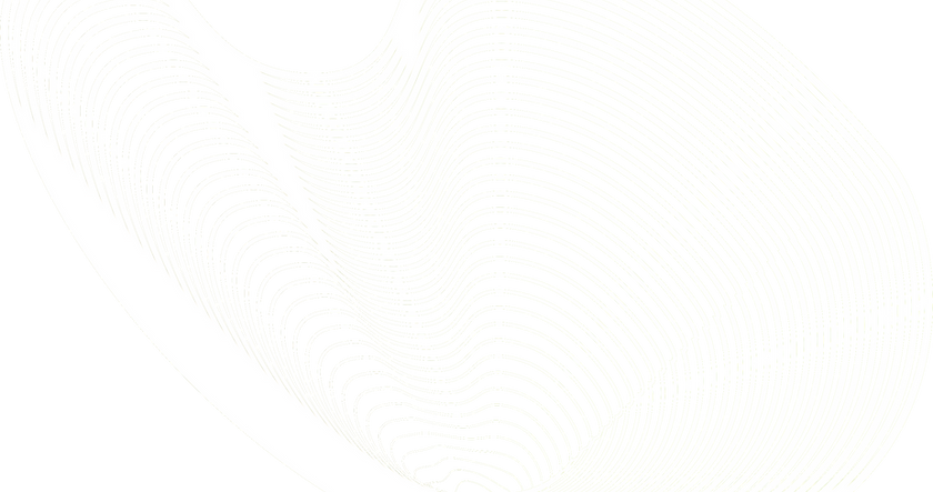 Wavy 3D Net _edited_edited.png