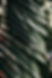 DSC_8481.jpg
